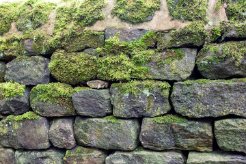 Dry stone wall with moss