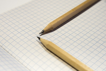 two pencils lie on a piece of paper in a cage, close-up, checkered background