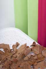 Autumn branches from oak, with faded leaves. Against the backdrop of curtains of lime and pink.