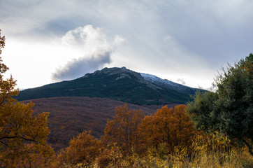 autumn landscape with trees and cloudy sky