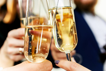 Celebration. Hands holding the glasses of champagne and wine making a toast. The party, alcohol, lifestyle, friendship, holiday, christmas, new, year and clinking concept