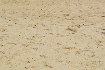 Beach in Fortaleza Brazil