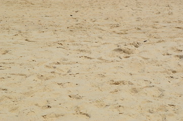 Beach in Fortaleza Brazil