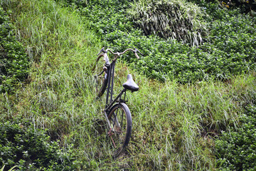 Fototapeta na wymiar An old bicycle in the middle of a green meadow. 