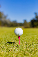 Golf Ball on a Tee at a Golf Course