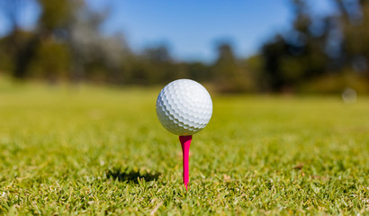 Golf Ball on a Tee at a Golf Course