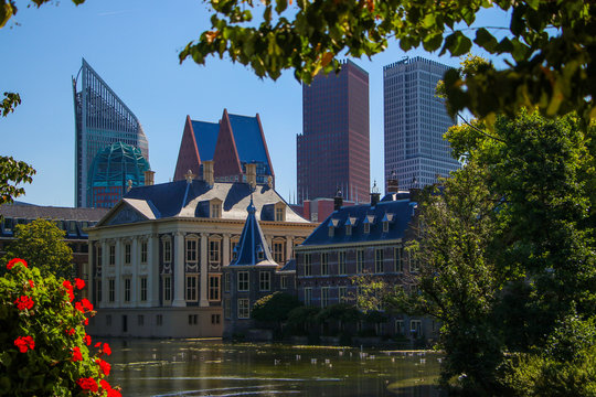 houses in the city