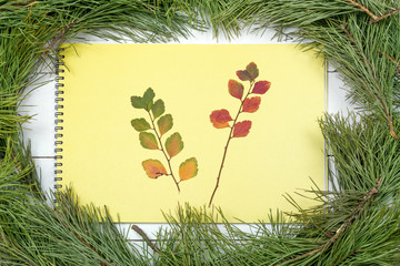 Christmas Greeting Card