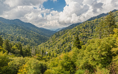 Fototapeta premium Panoramic View over the Great Smoky Mountains in Tennessee