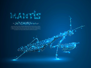 Hunting Mantis bug isolated silhouette. Polygonal space low poly illustration. Connection wireframe mesh structure. Vector on dark blue background - obrazy, fototapety, plakaty