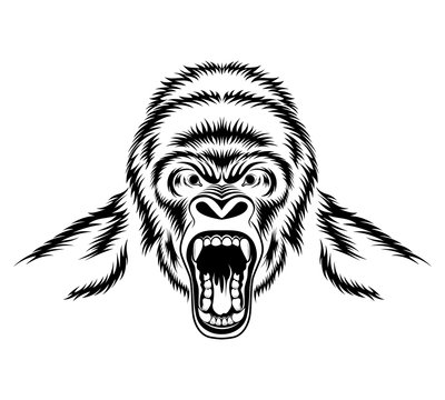 Evil Gorilla. Black and white vector image.
