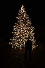 Blurry silhouette of man standing in front of and looking at illuminated Christmas tree with tiny...