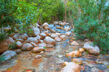 Mountain stream full of smooth rocks in Saklikent Gorge Canyon in Turkey