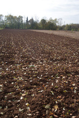 Plowed field in the countryside. Agricultural landscape in autumn