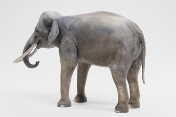 Realistic 3D Render of Asian Elephant - Male