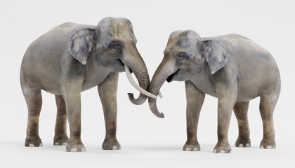 Naklejka na ściany i meble Realistic 3D Render of Asian Elephants