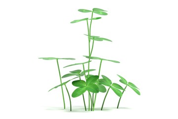 Realistic 3D Render of Clover Plant