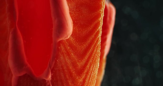 Art object with paints,  abstraction. Macro. 4K.
