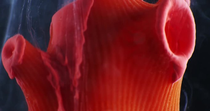 Art object with paints,  abstraction. Macro. 4K.
