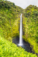 Akaka Falls on Big Island, Hawaii