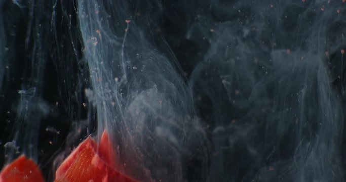 Art object with paints,  abstraction. Macro. 4K.
