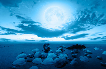 Night sky with moon in the clouds with shell "Elements of this image furnished by NASA