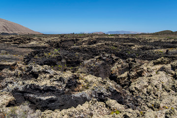 Canary islands lanzarote outdoor nature landscape