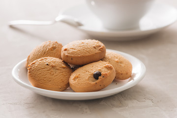 Coffee. White porcelain cup of freshly brewed coffee top view close-up arranged with  biscuits, spoon and plate on light background