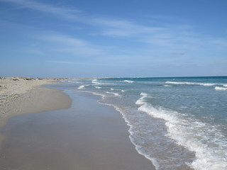Fototapeta na wymiar Deserted sandy beach in Tunisia, sand and shells