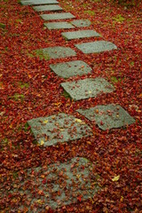 石畳と紅葉