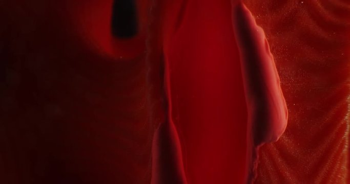 Art object with paints,  abstraction. Macro. 4K.
