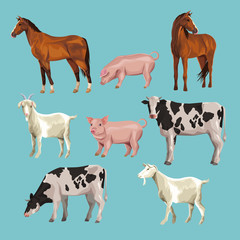 farm animals cartoons
