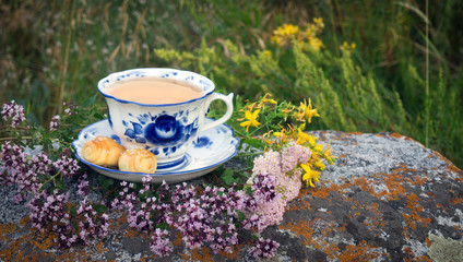 Beautiful cup with herbal tea standing on a stone against a background of green grass. The cup is decorated with cookies and flowers of thyme and St. John's wort