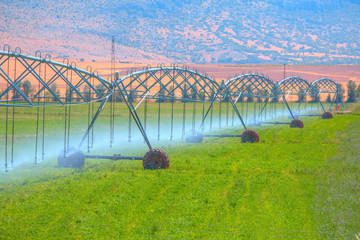 An irrigation pivot watering a field 