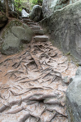 Rough roots of clay.