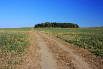 Fototapeta na wymiar Dirt country road in the field