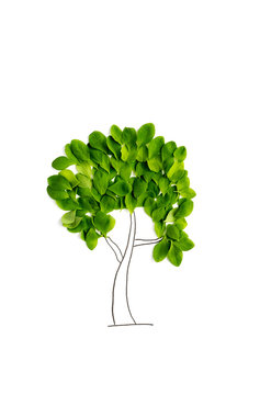 Drawing of Tree with green leaves
