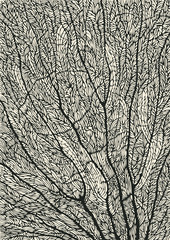 coral abstract background. hand drawn texture. vector illustration.