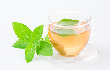 Mint tea. Cup of tea with fresh mint leaves on a white background.