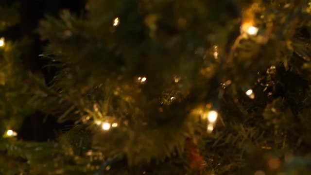 Christmas Tree Lights Slow Motion