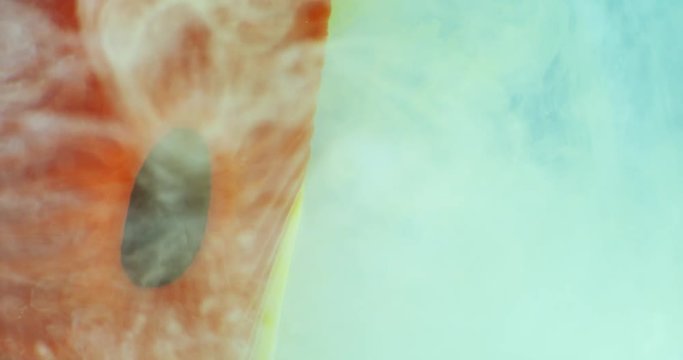 Art object with paints,  abstraction. Macro. 4K.
