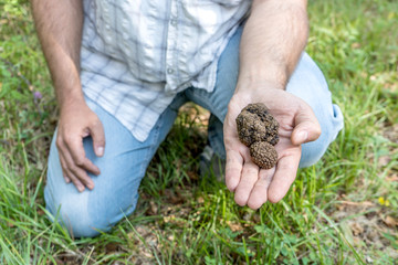 collector has success in truffle search
