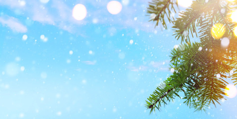 Fototapeta na wymiar Christmas tree and holidays lights