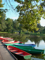 Colorful boats on the lake in summer with trees - 238744509