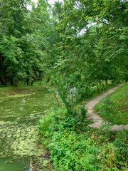 Beautiful landscape with a path around the old pond - 238744578