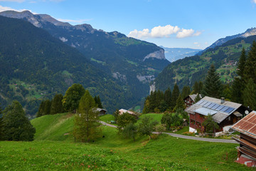 Fototapeta na wymiar Mountain grassland near Wengen mountain village in Lauterbrunnen region in Switzerland.