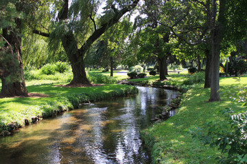 River or creek landscape