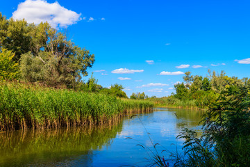 Summer landscape with beautiful river, green trees and blue sky