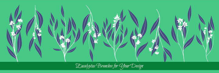 Rustic Decorative Plants Collection. Hand Drawn Eucalyptus Leaves Isolated. Vector EPS10 Illustration. Botanical Elements. Exotic Tropical Foliage and Flowers. Decorative Plants Set for Wedding Design