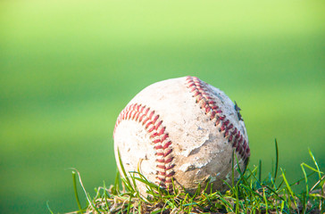 Baseball on grass